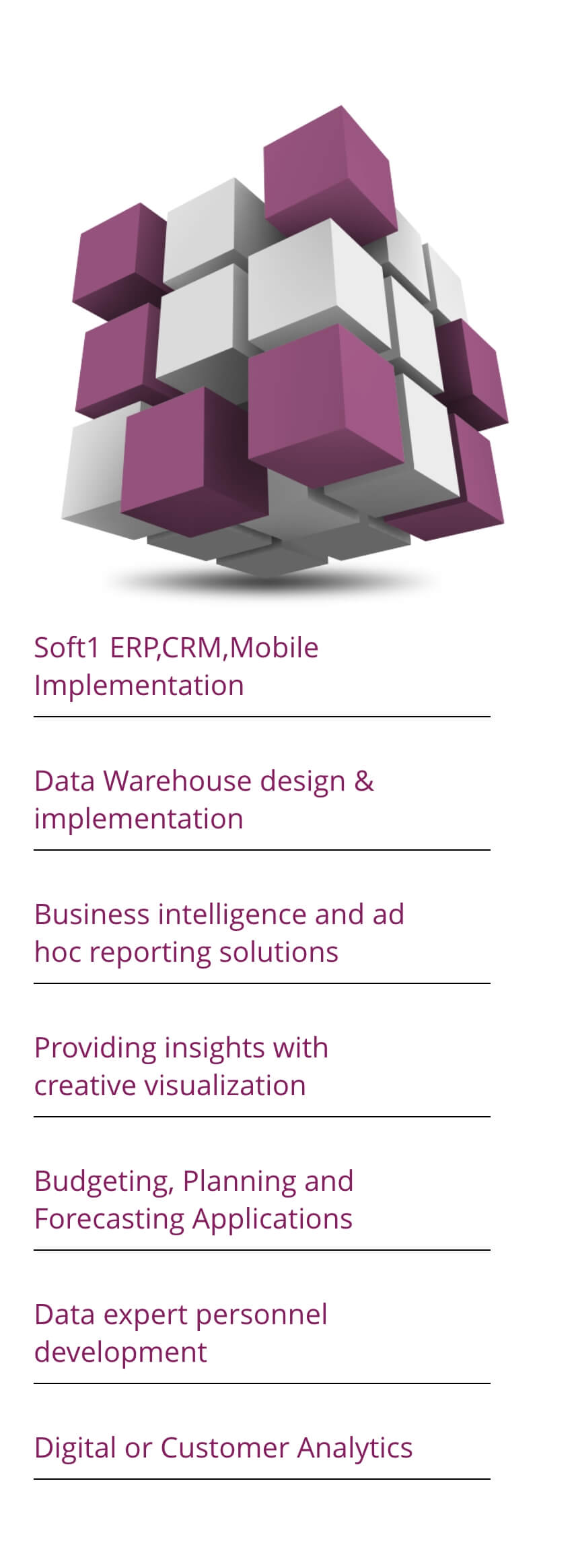 Mobile Services x 2 (1) (1)